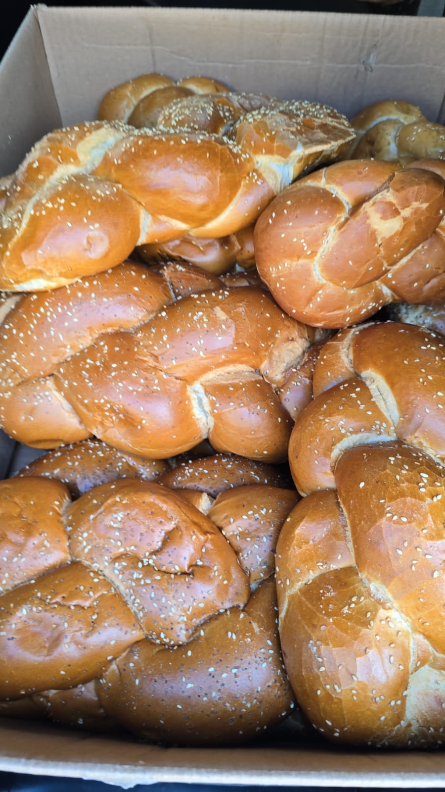 תמונות מפעילות עמותת תקוות ליבנו (3)
